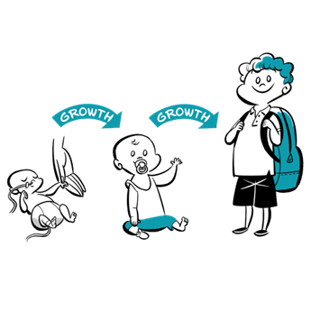 Growth Image